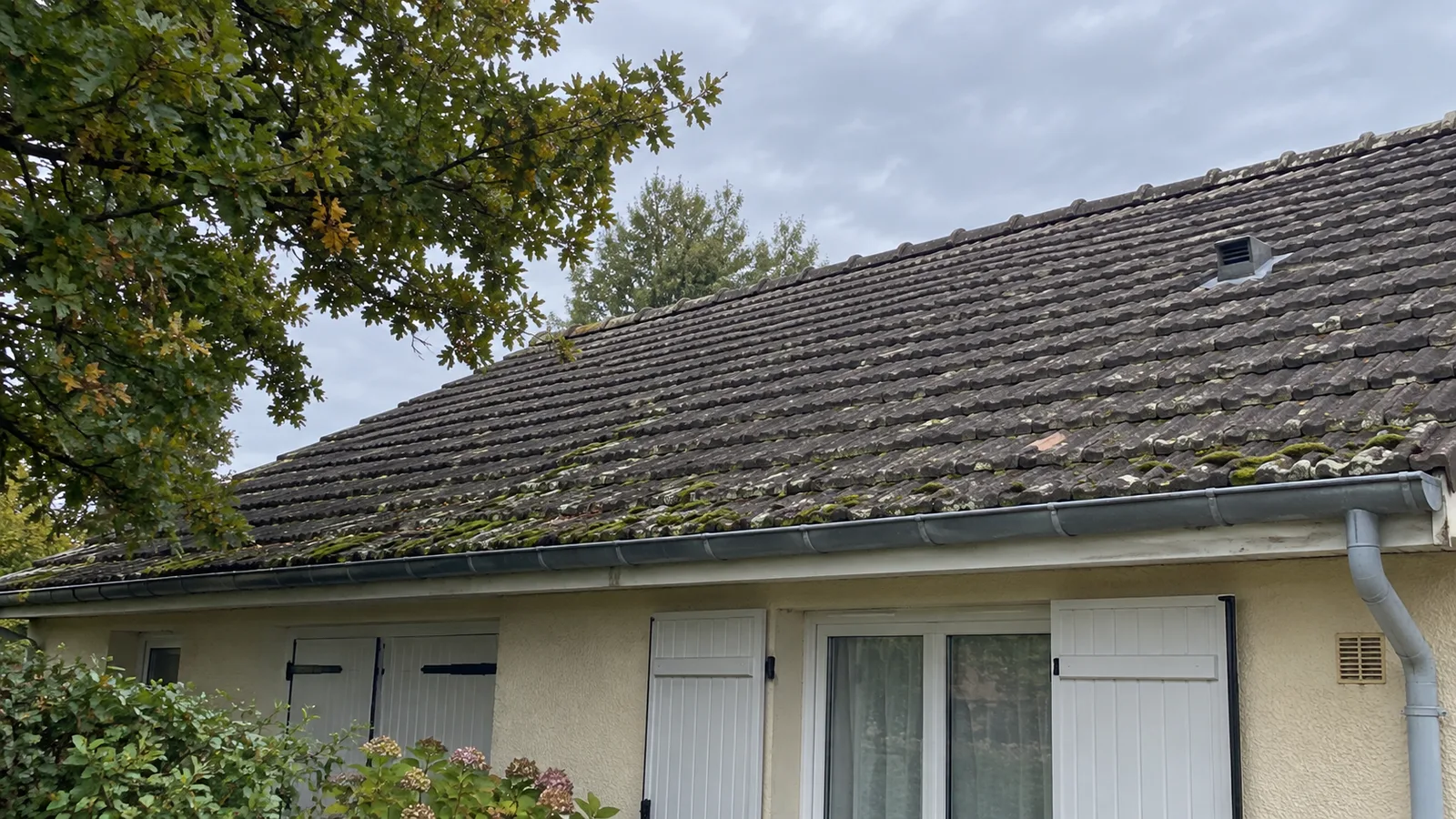 Toiture en tuiles béton avec mousses près de la gouttière avant nettoyage