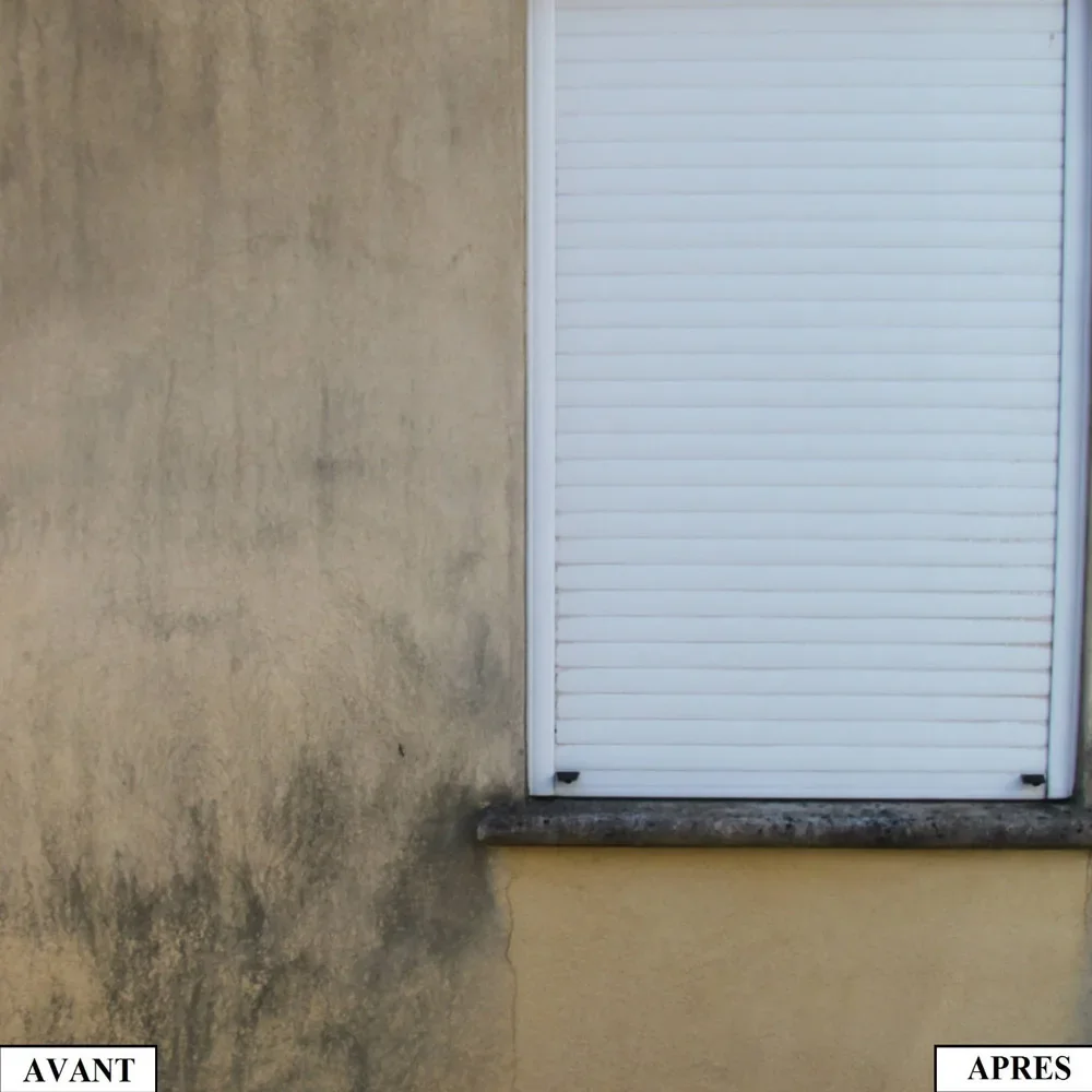 Anti verdissures, destructeur des verdissures, algues et lichens - usage et pose par Asena