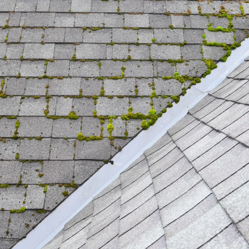 Imperméabilisant incolore traitement destructeur algicides lichens et verdissures - usage et pose par Asena