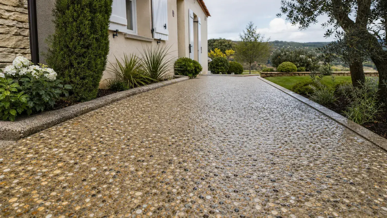 Allée en béton désactivé devant une maison avec bordures végétalisées